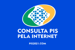 consulta pis pela internt 1