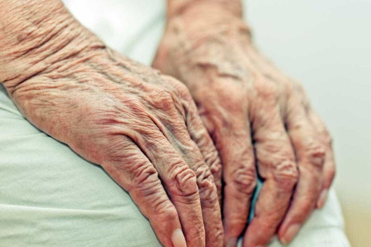 Novidade Importante para Idosos de 60 a 63 Anos: Confira Agora Novidade Importante para Idosos de 60 a 63 Anos: Confira Agora