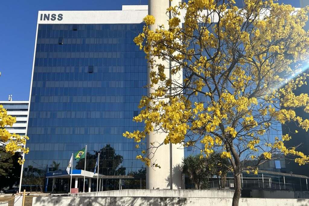 Edital do INSS 2025: O Que Esperar das Novas Vagas e Como se Preparar inss